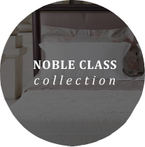 noble-class.png