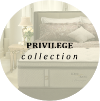 privilege.png